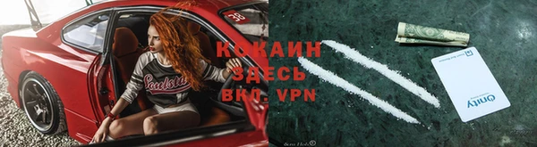твердый Белокуриха