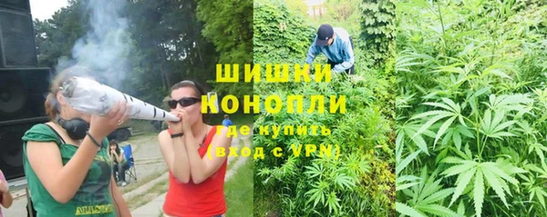 твердый Белокуриха