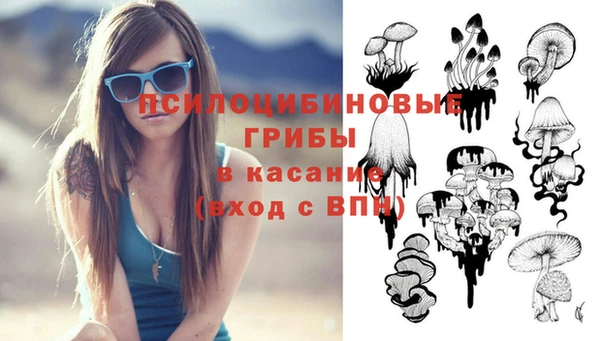 твердый Белокуриха