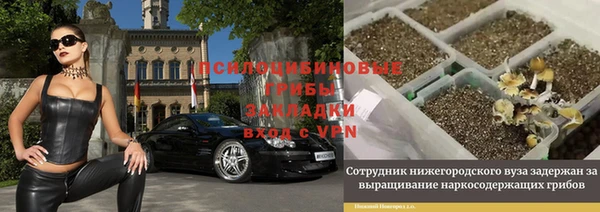 гидра Беломорск