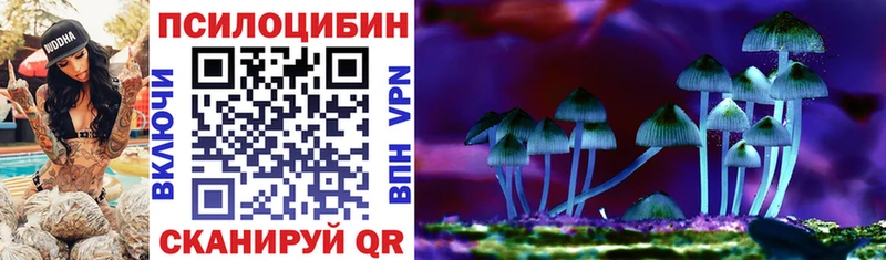 где купить наркоту  Афипский  Галлюциногенные грибы MAGIC MUSHROOMS 