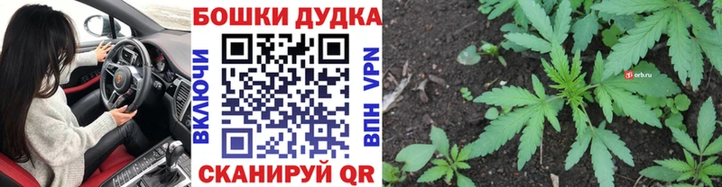 купить   Афипский  Конопля Amnesia 